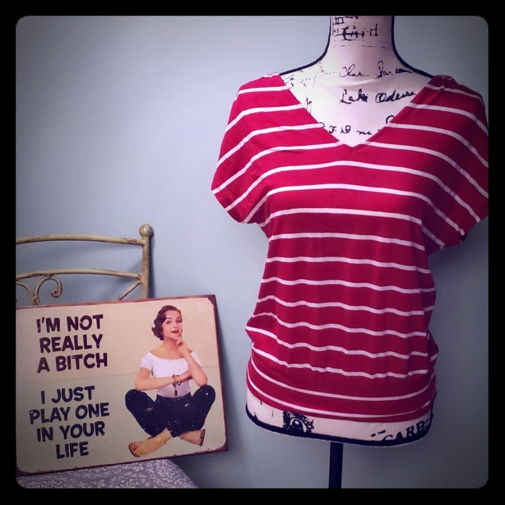 EXPRESS Embroidered Pink Top